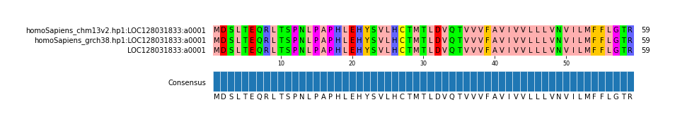 Multiple Alignments (by translate haplotype similarity)