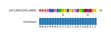 Multiple Alignments (by translate haplotype similarity)