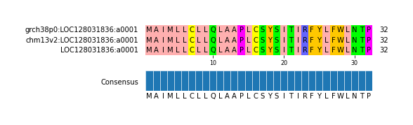 Multiple Alignments (by translate haplotype similarity)
