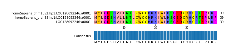 Multiple Alignments (by translate haplotype frequency)