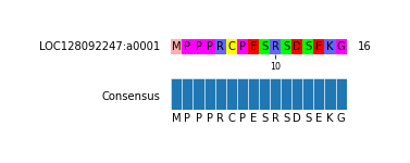 Multiple Alignments (by translate haplotype similarity)
