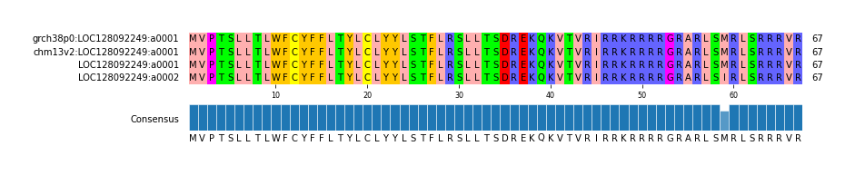 Multiple Alignments (by translate haplotype similarity)