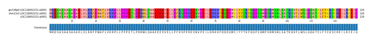 Multiple Alignments (by translate haplotype similarity)