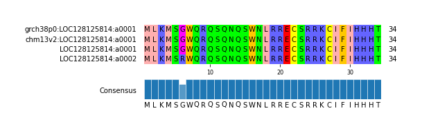 Multiple Alignments (by translate haplotype similarity)