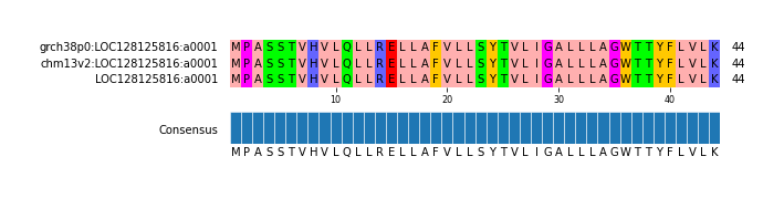 Multiple Alignments (by translate haplotype similarity)