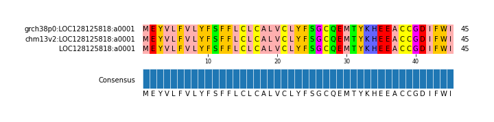 Multiple Alignments (by translate haplotype similarity)