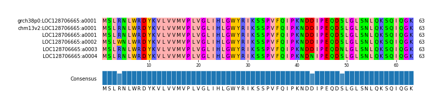 Multiple Alignments (by translate haplotype frequency)
