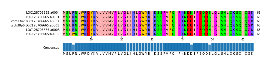 Multiple Alignments (by translate haplotype similarity)