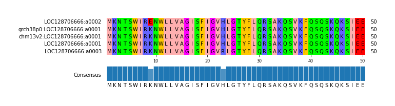 Multiple Alignments (by translate haplotype similarity)