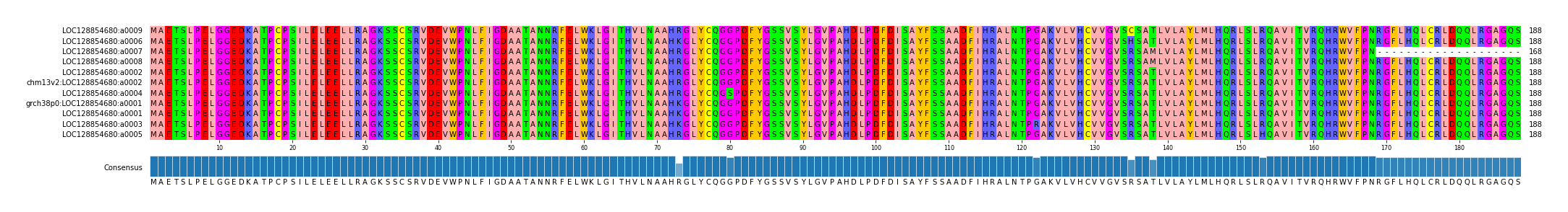 Multiple Alignments (by translate haplotype similarity)
