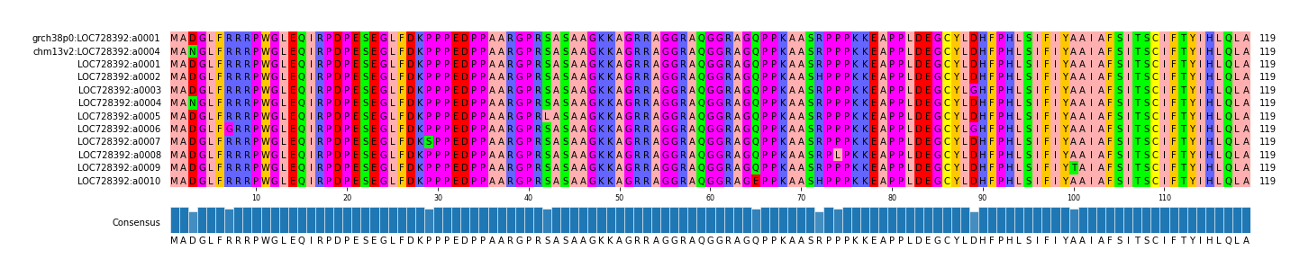 Multiple Alignments (by translate haplotype frequency)