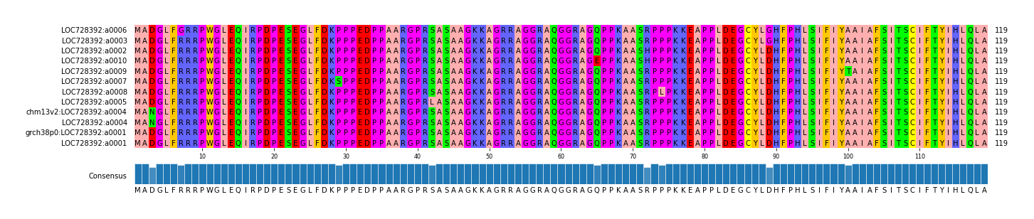Multiple Alignments (by translate haplotype similarity)