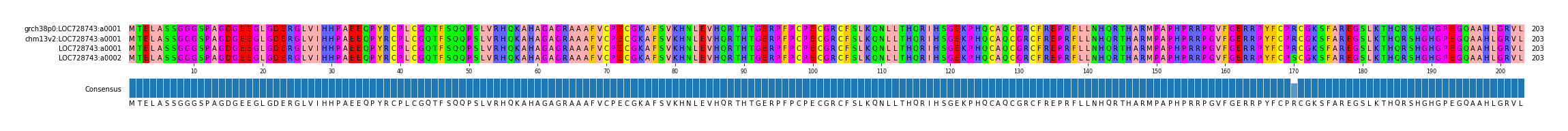 Multiple Alignments (by translate haplotype similarity)