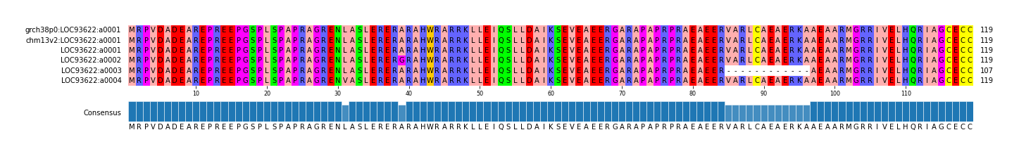 Multiple Alignments (by translate haplotype frequency)