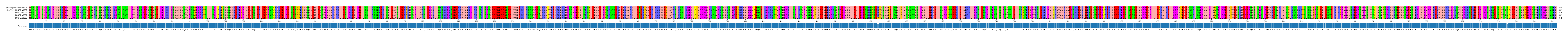 Multiple Alignments (by translate haplotype frequency)