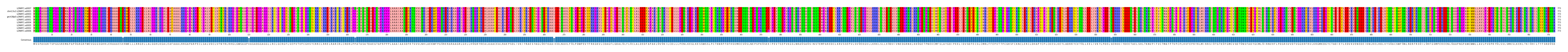 Multiple Alignments (by translate haplotype similarity)
