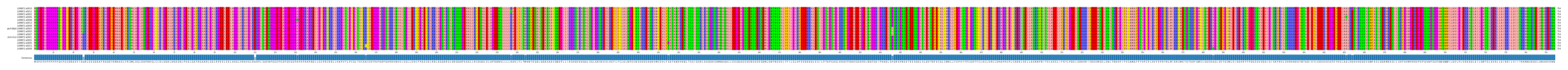 Multiple Alignments (by translate haplotype similarity)