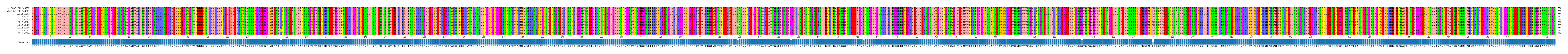 Multiple Alignments (by translate haplotype frequency)