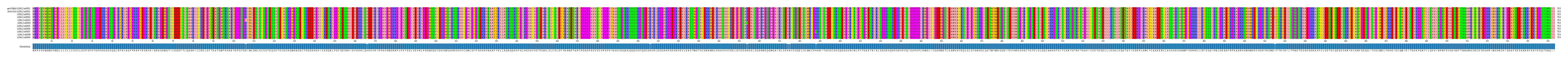 Multiple Alignments (by translate haplotype frequency)