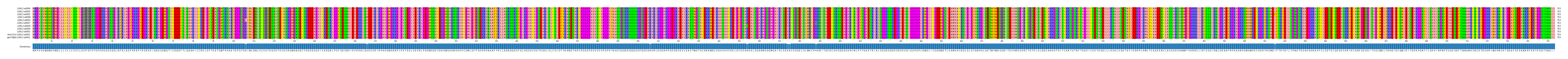 Multiple Alignments (by translate haplotype similarity)