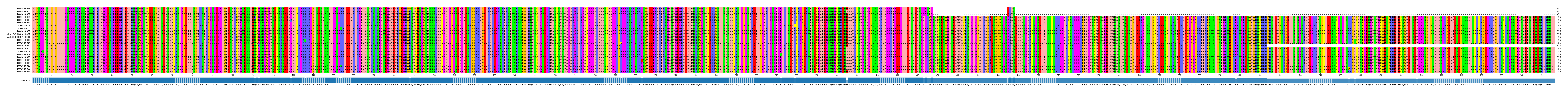 Multiple Alignments (by translate haplotype similarity)