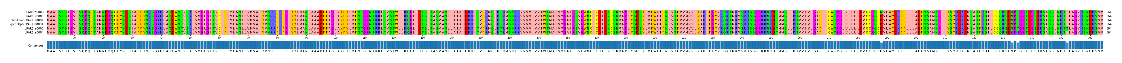 Multiple Alignments (by translate haplotype similarity)