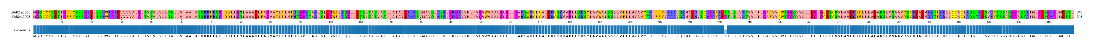 Multiple Alignments (by translate haplotype frequency)