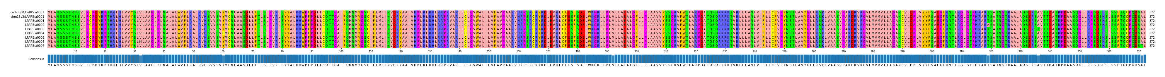 Multiple Alignments (by translate haplotype frequency)
