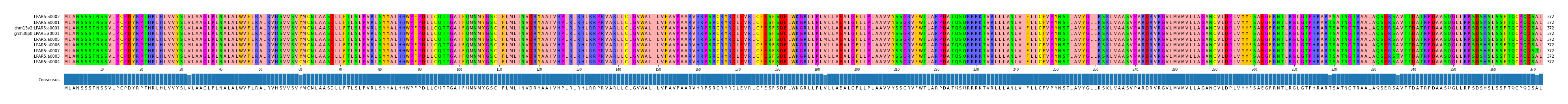 Multiple Alignments (by translate haplotype similarity)