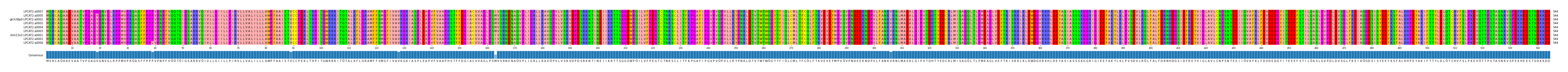 Multiple Alignments (by translate haplotype similarity)