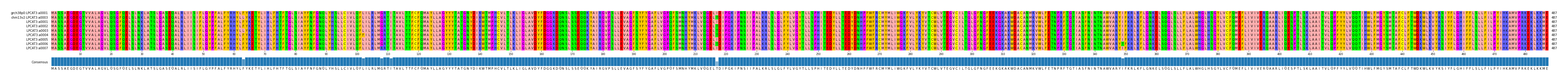 Multiple Alignments (by translate haplotype frequency)