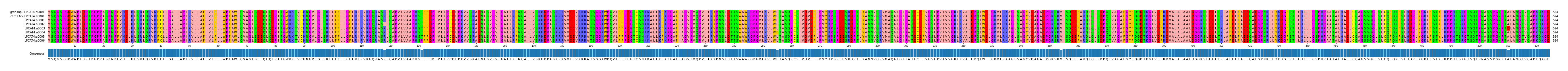 Multiple Alignments (by translate haplotype frequency)
