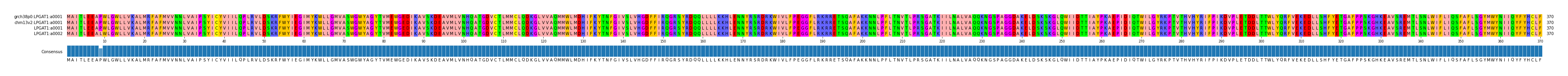 Multiple Alignments (by translate haplotype similarity)