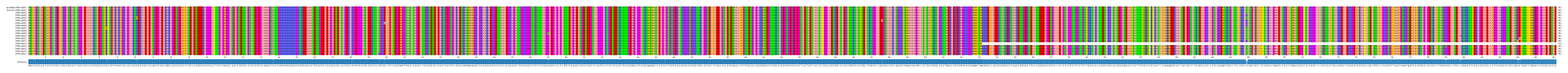 Multiple Alignments (by translate haplotype frequency)