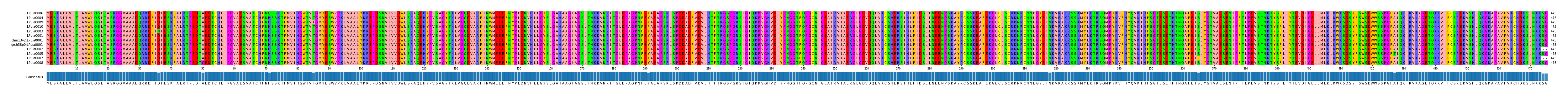 Multiple Alignments (by translate haplotype similarity)