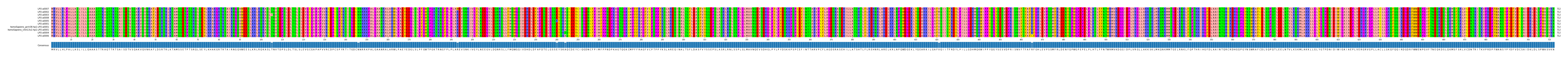 Multiple Alignments (by translate haplotype similarity)