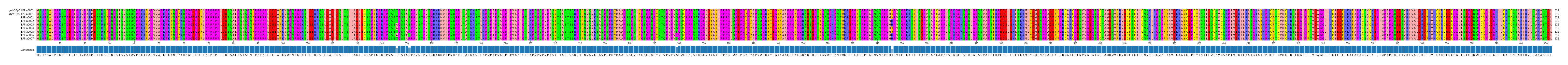 Multiple Alignments (by translate haplotype frequency)
