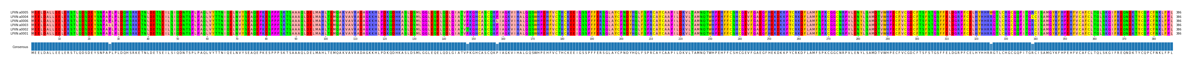 Multiple Alignments (by translate haplotype similarity)
