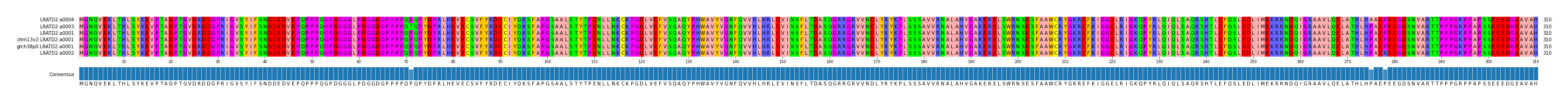 Multiple Alignments (by translate haplotype similarity)