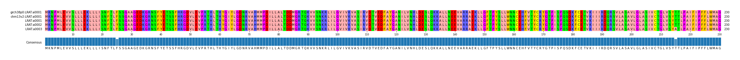 Multiple Alignments (by translate haplotype frequency)