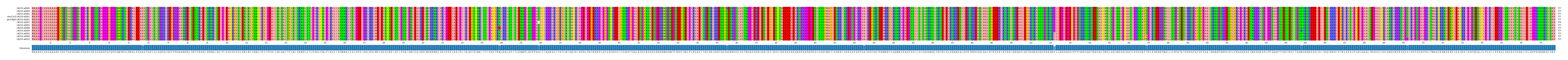 Multiple Alignments (by translate haplotype similarity)