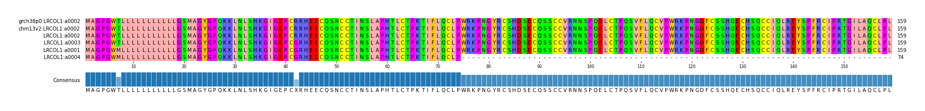 Multiple Alignments (by translate haplotype similarity)