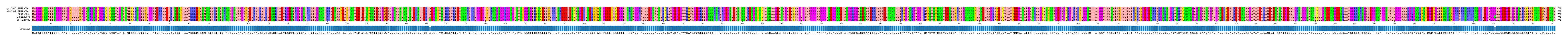 Multiple Alignments (by translate haplotype frequency)