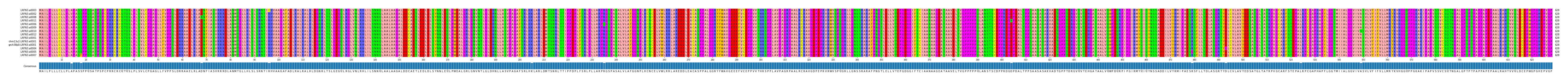 Multiple Alignments (by translate haplotype similarity)