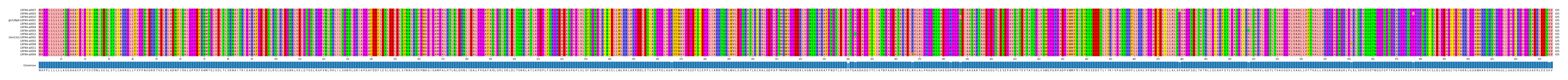 Multiple Alignments (by translate haplotype similarity)