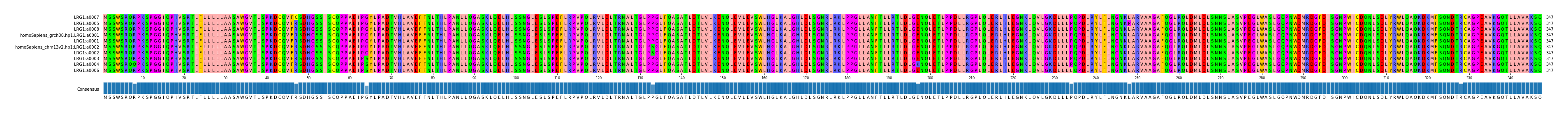 Multiple Alignments (by translate haplotype similarity)