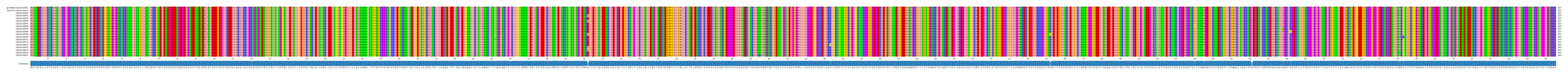 Multiple Alignments (by translate haplotype frequency)