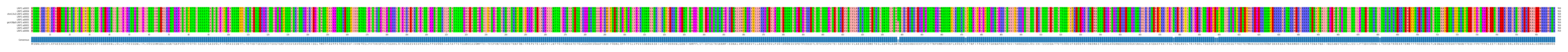 Multiple Alignments (by translate haplotype similarity)