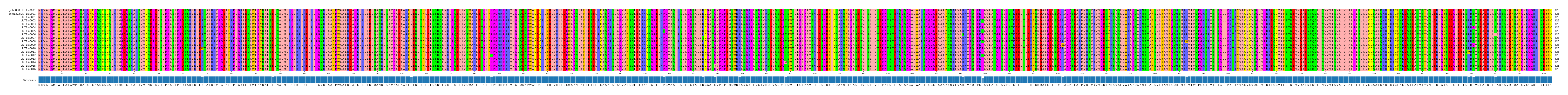 Multiple Alignments (by translate haplotype frequency)