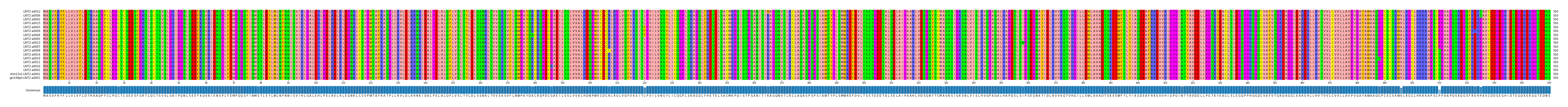 Multiple Alignments (by translate haplotype similarity)